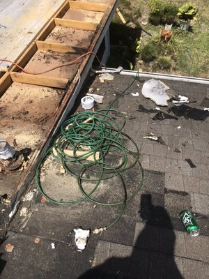 Dino Roofing Services Logo