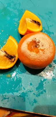 Whole Foods Market by null