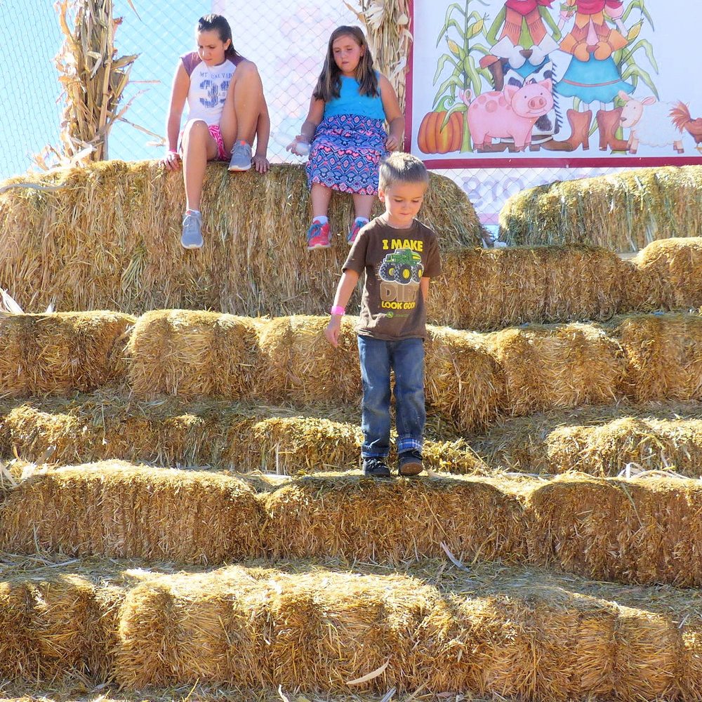 Galloping Goat Pumpkin Patch - The Hay Tower - Pumpkin Patches Near Me - Rio Rancho, New Mexico