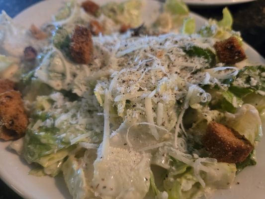 Schaendorf Brewing Company by null