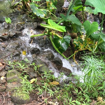 Likeke Falls - Hiking Near Me - Honolulu, Hawaii Likeke Falls - Hiking Near Me - Honolulu, Hawaii