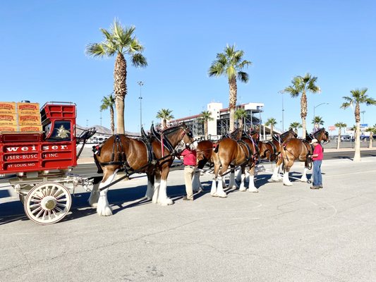 Las Vegas Motor Speedway by null