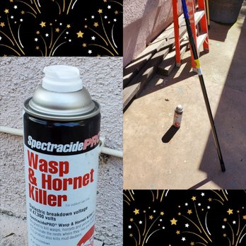 Prolific Pest Control - Items used by Jesse to kill and remove those pesky wasps and (small/medium) nests. - Pest Control Near Me - Pasadena, California Prolific Pest Control - Items used by Jesse to kill and remove those pesky wasps and (small/medium) nests. - Pest Control Near Me - Pasadena, California