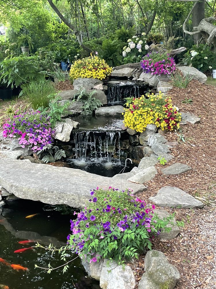 BRIGGS GARDEN CENTER Updated September 2024 4189 Brevard Rd, Horse