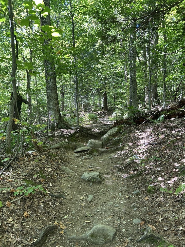 Camel's Hump State Park Logo