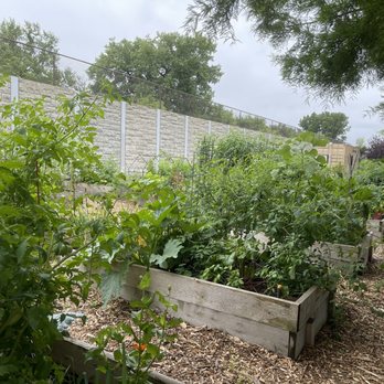 Bowmanville Gateway Garden - Community Gardens Near Me - Chicago, Illinois Bowmanville Gateway Garden - Community Gardens Near Me - Chicago, Illinois