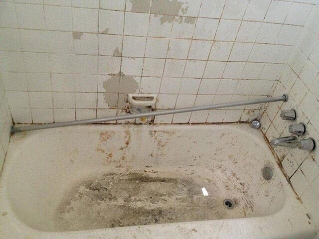 Slide of New Touch Restoration