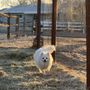 Photo of Green Acres B&B