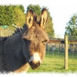 Emsleys Farmshop & Visitor Center - Http://www.emsleys-farmshop.co.uk/