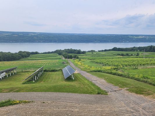 Two Goats Brewing by null