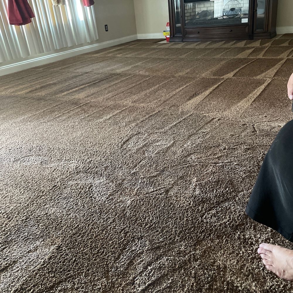 They cleaned the carpets in my house!:) They cleaned the carpets in my house!:)