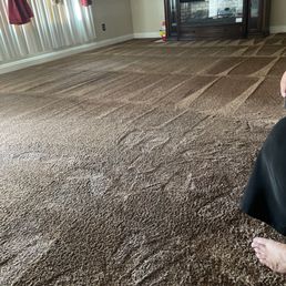They cleaned the carpets in my house!:) They cleaned the carpets in my house!:)