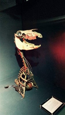 The MAD Museum by null