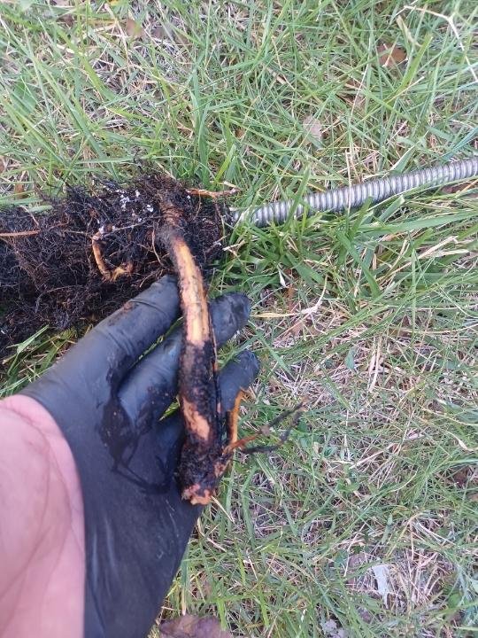 Slide of MasterCraft Water Heater Pros