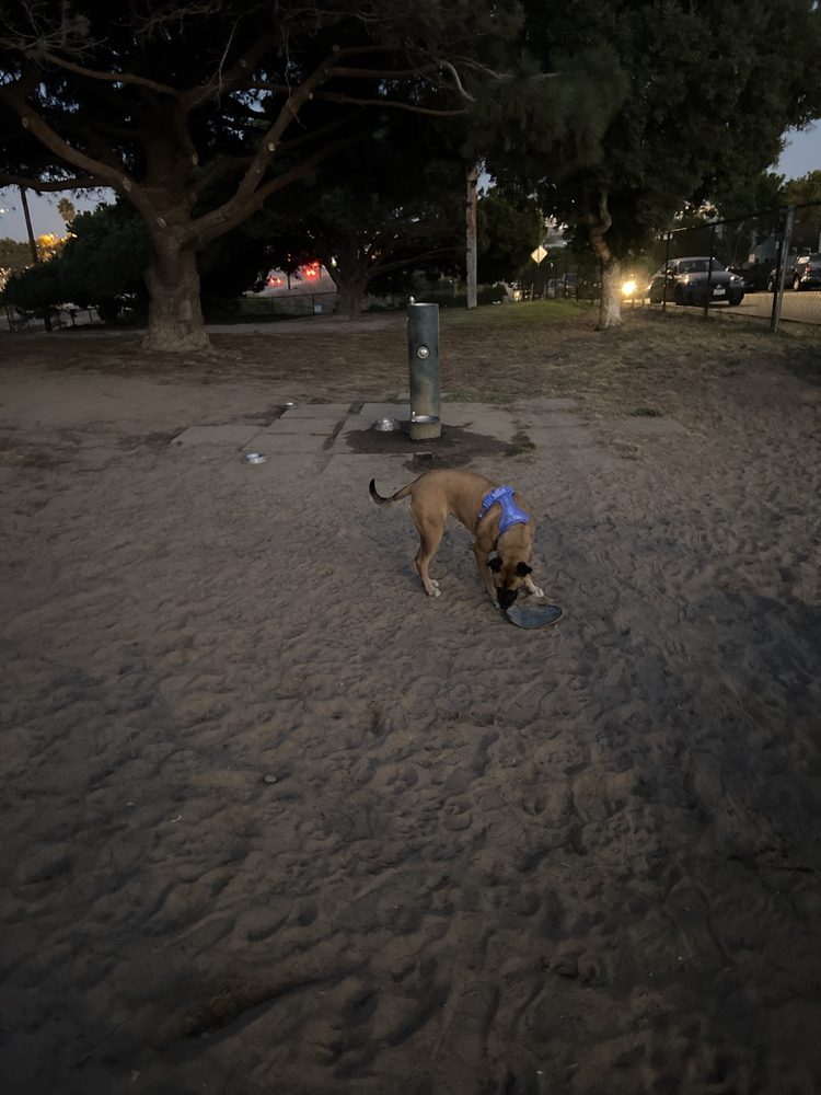 El Segundo Dog Park Logo