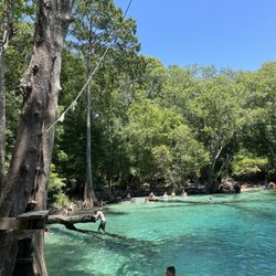 Coldwater Excursions - There's a rope spring that lands over the spring and many people took advantage- there was normally a good little line to use it