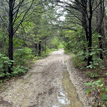Blase Family Farm - Gorgeous walk- wear boots if it just rained! - Pick Your Own Farms Near Me - Rockwall, Texas Blase Family Farm - Gorgeous walk- wear boots if it just rained! - Pick Your Own Farms Near Me - Rockwall, Texas