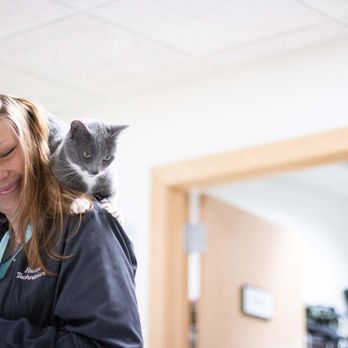 Lakeland Veterinary Hospital - There's nothing quite like kitty snuggles to make the day absolutely purr-fect ;) - Veterinarians Near Me - Baxter, Minnesota Lakeland Veterinary Hospital - There's nothing quite like kitty snuggles to make the day absolutely purr-fect ;) - Veterinarians Near Me - Baxter, Minnesota
