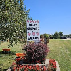 Deal's Orchard