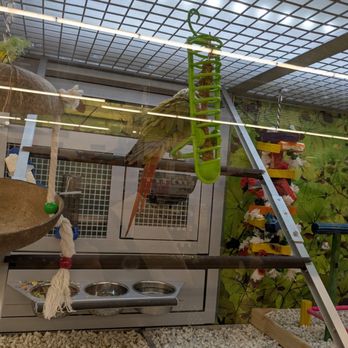 PetSmart - Birds - Pet Stores Near Me - Nanuet, New York PetSmart - Birds - Pet Stores Near Me - Nanuet, New York