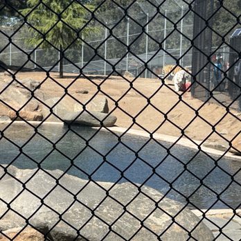 Lions Tigers & Bears - Community Service/Non-Profit Near Me - Alpine, California