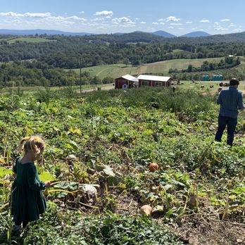 Hollin Farms - Fruits & Veggies Near Me - Delaplane, Virginia