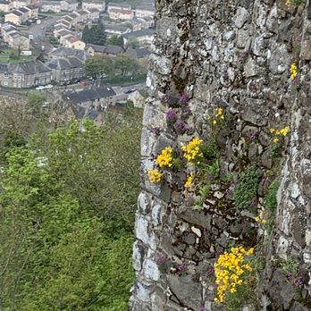 Stirling Castle - Castles Near Me - Scotland, STG Stirling Castle - Castles Near Me - Scotland, STG