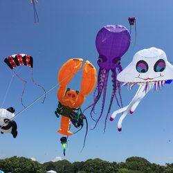 Brenton Point State Park - Kite festival in July