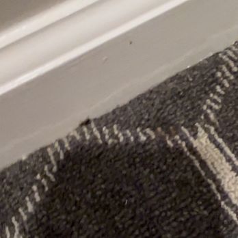 Shelter Hotels - When I moved desk a lot roaches came out . - Hotels Near Me - Los Angeles, California Shelter Hotels - When I moved desk a lot roaches came out . - Hotels Near Me - Los Angeles, California