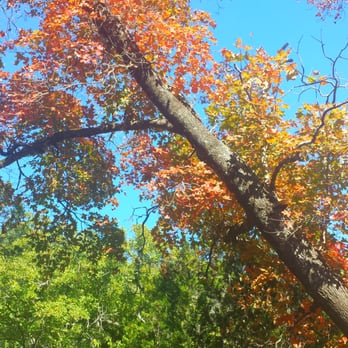 Lost Maples State Park - November 2013 - Parks Near Me - Vanderpool, Texas Lost Maples State Park - November 2013 - Parks Near Me - Vanderpool, Texas