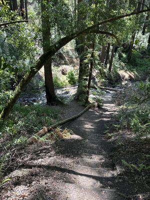 Bartholomew Estate Winery by null