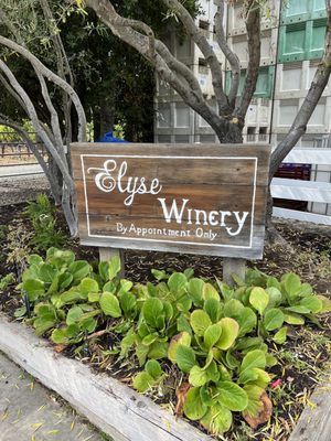 Elyse Winery by null