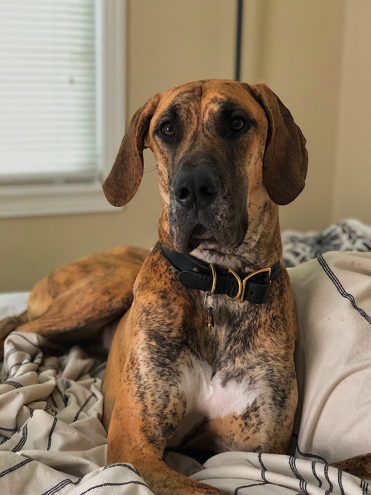 WILLOW CREEK RANCH OF TOMBALL 41 Photos & 77 Reviews 11105 Mahaffey