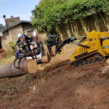 Dyland Tree Work - a tree being cut by a machine - Tree Services Near Me Dyland Tree Work - a tree being cut by a machine - Tree Services Near Me