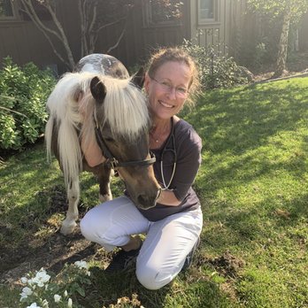 The Comfort Vet - Providing spinal adjustment to a mini horse - Veterinarians Near Me - Middleton, Wisconsin The Comfort Vet - Providing spinal adjustment to a mini horse - Veterinarians Near Me - Middleton, Wisconsin