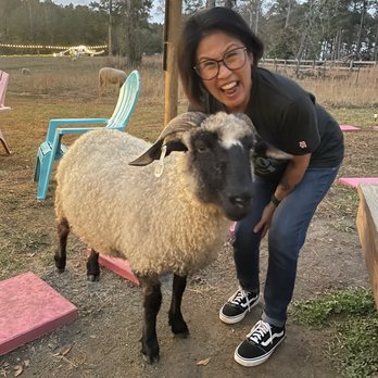 The Nuk Camp - My lady and Priscilla - Team Building Activities Near Me - Thomson, Georgia The Nuk Camp - My lady and Priscilla - Team Building Activities Near Me - Thomson, Georgia