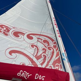 Salty Dog!!!!!