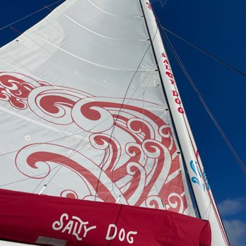 The Salty Dog - Salty Dog!!!!! - Sailing Near Me - Fajardo, Puerto Rico