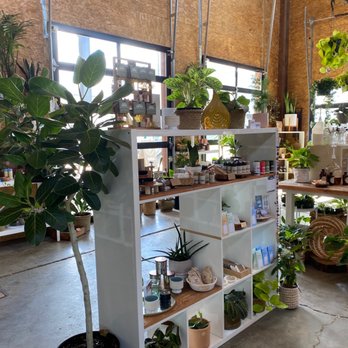 Sustainable Rituals - Home Decor Near Me - McMinnville, Oregon Sustainable Rituals - Home Decor Near Me - McMinnville, Oregon