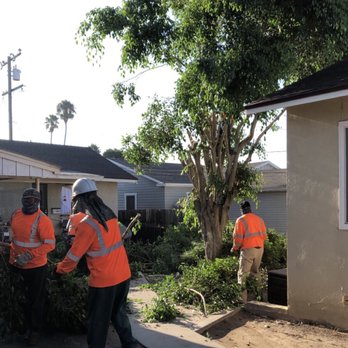 Octavio's Tree Service - Tree Services Near Me