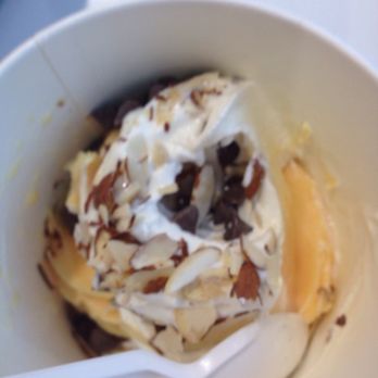 Fro-Yotopia - Ice Cream & Frozen Yogurt Near Me - Palm Beach Gardens, Florida