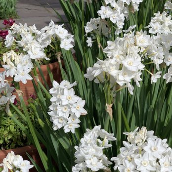 Filoli - Botanical Gardens Near Me - Woodside, California