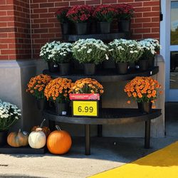 Kroger Food and Pharmacy - Fall Flowers