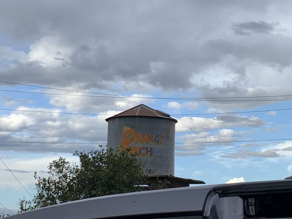 ORANGE PATCH 28 Photos & 22 Reviews 3565 N Gilbert Rd, Mesa