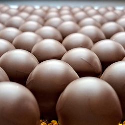 SELEUSS Chocolates - MĀNUKA 263 (UMF 10+) infused chocolate truffles!