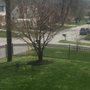 Photo of Mary's Landscaping Services