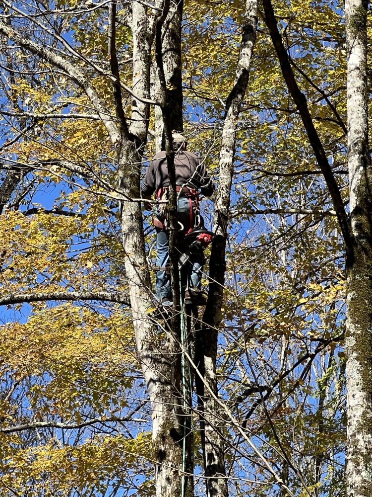 UNLIMITED PROPERTY MANAGEMENT Updated June 2024 Request a Quote