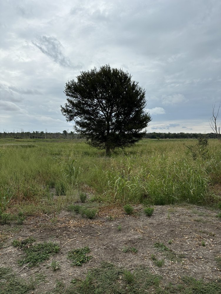 Lake waco wetlands Logo