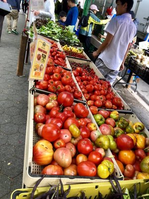Tompkins Square Park Greenmarket by null