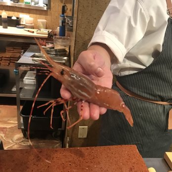 Kata Robata - Sushi Bars Near Me - Houston, Texas